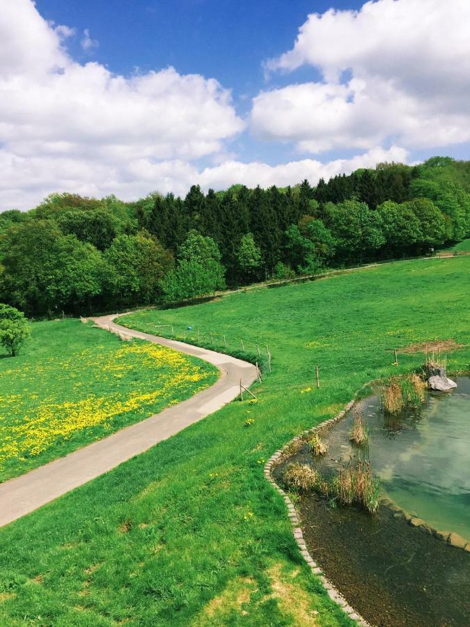 N8Quartier Eifel Apartment Bad Muenstereifel Luaran gambar